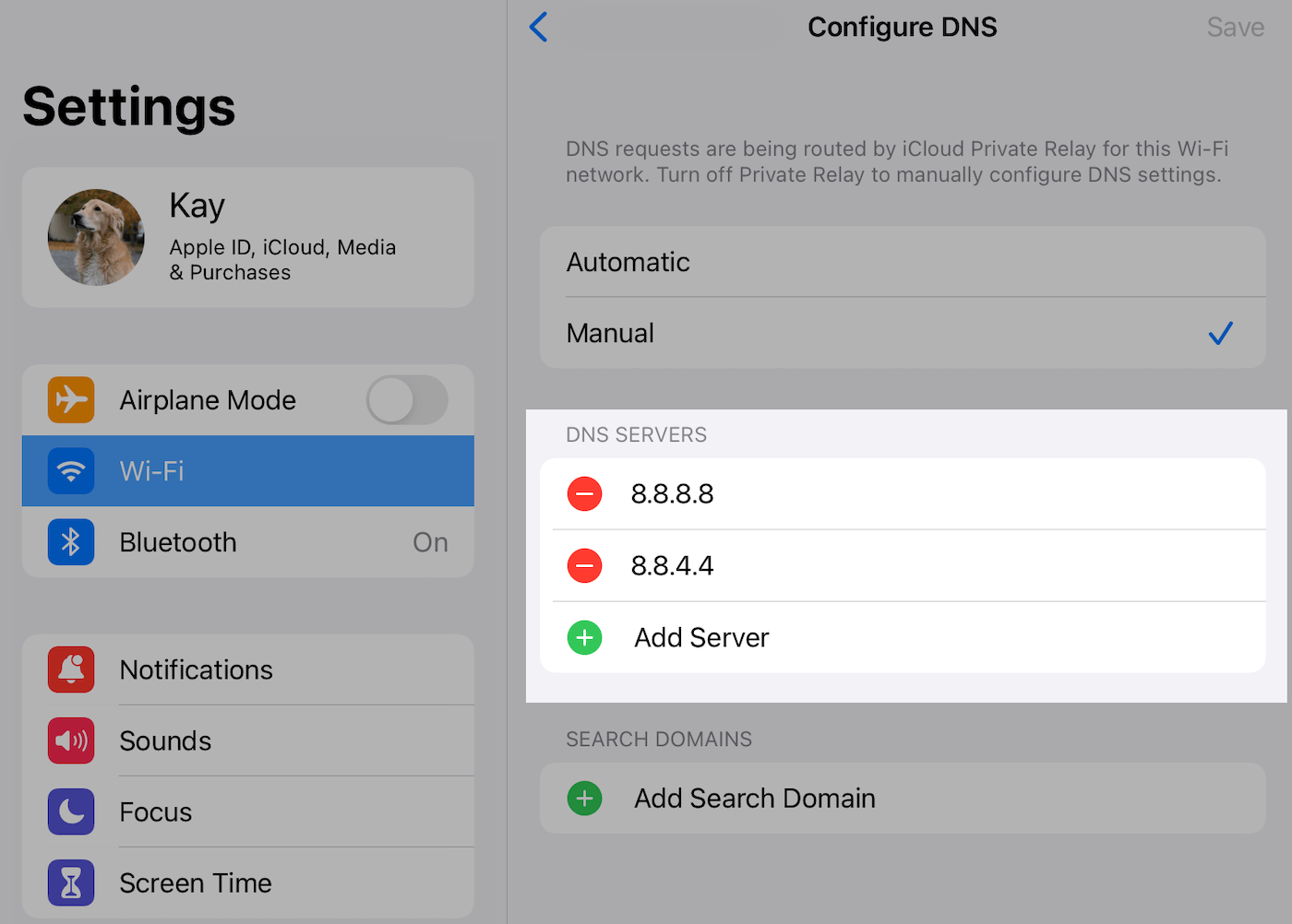 Add DNS servers in iOS